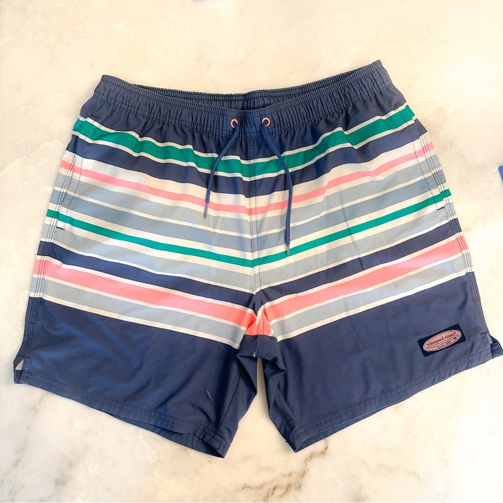 Vineyard Vines Striped 7” Chappy Swim Trunks Blue Pink Green - Medium